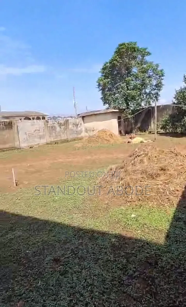 Buy More Than Half 433sqm of Land for Sale in Ipaja