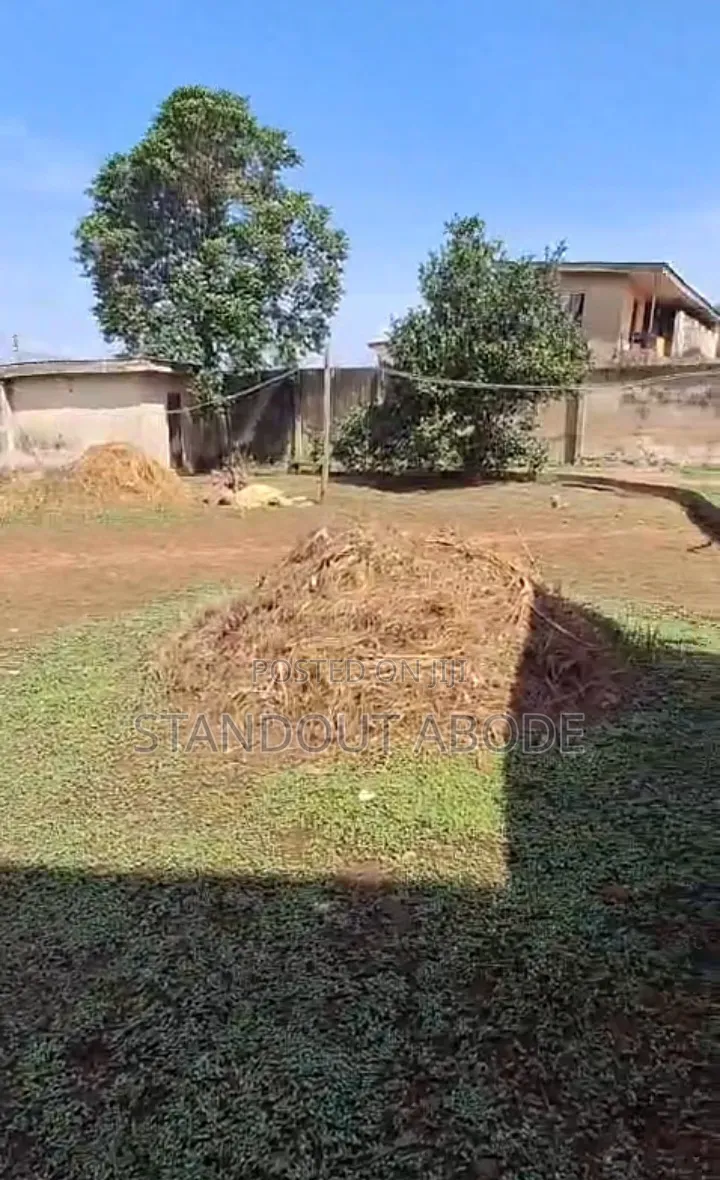 Buy More Than Half 433sqm of Land for Sale in Ipaja