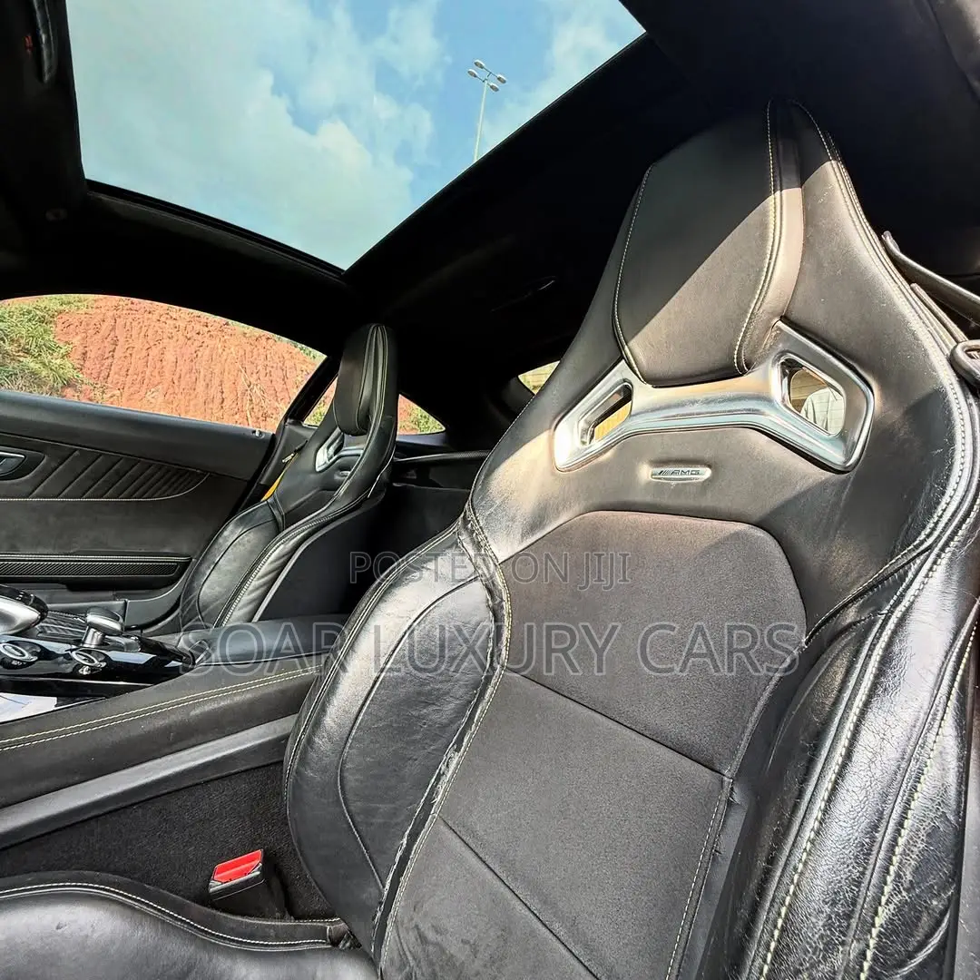 Mercedes-Benz AMG GT GT 2017 Black