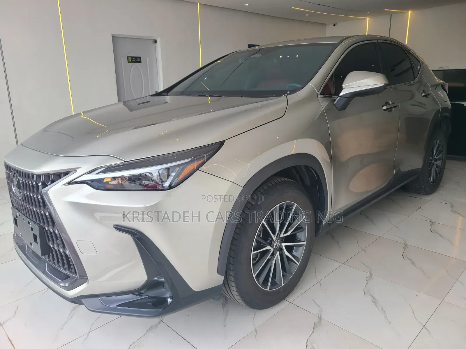 Lexus NX 2024 Gray