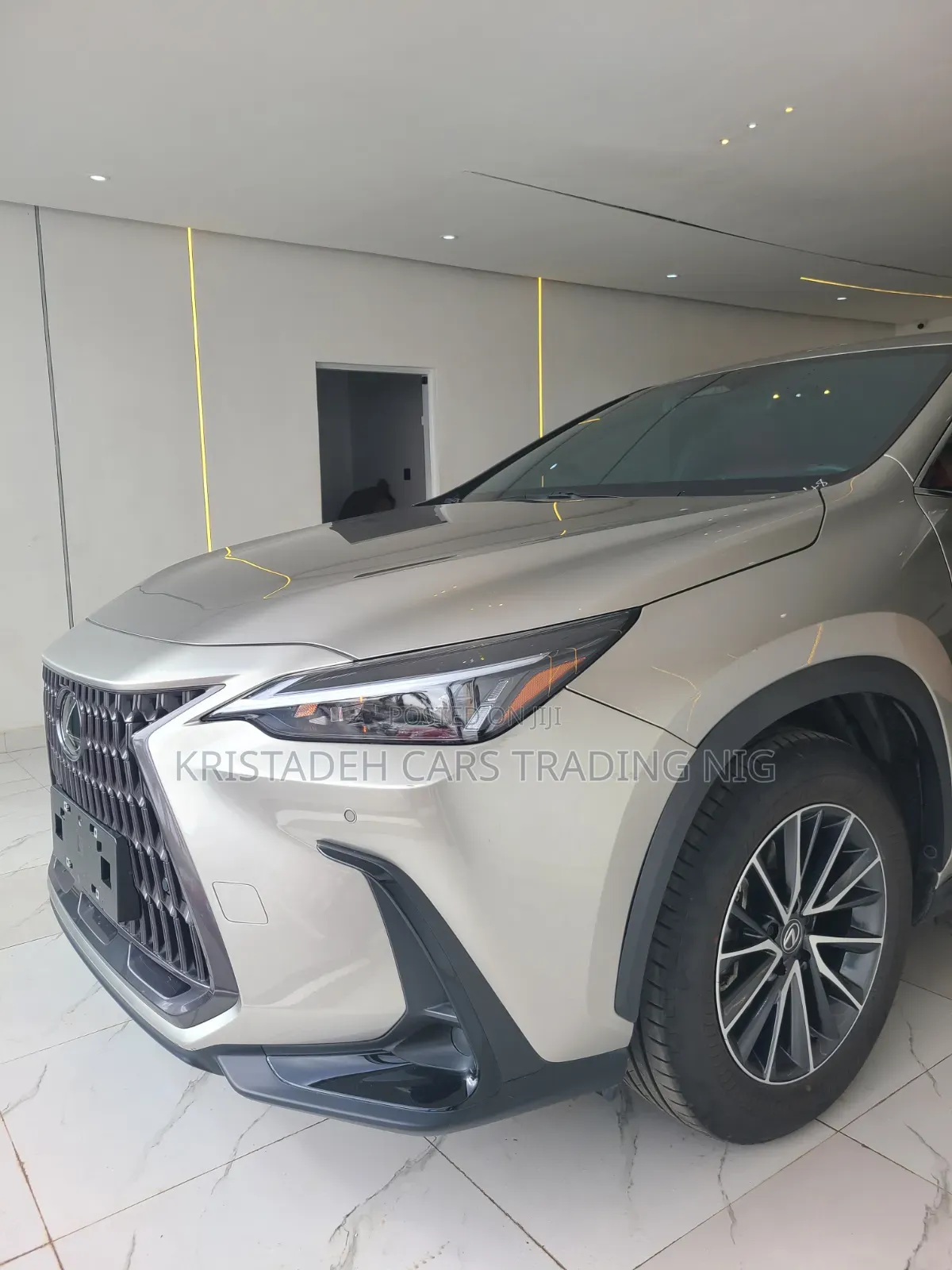 Lexus NX 2024 Gray