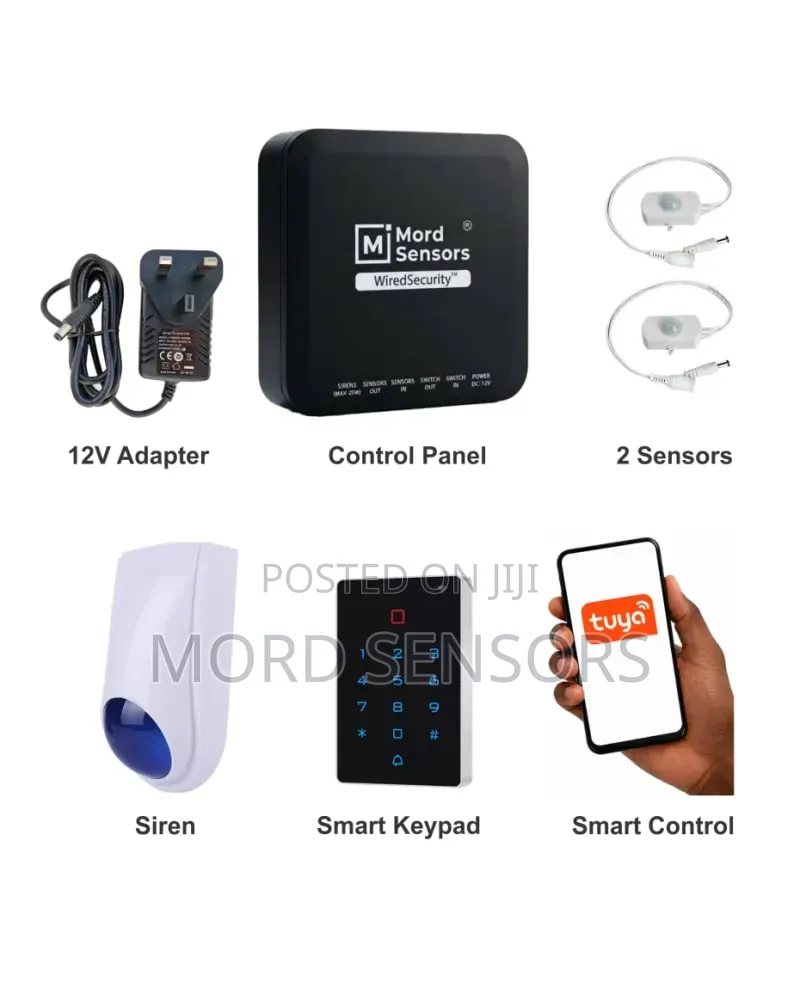 Hybrid Alarm System
