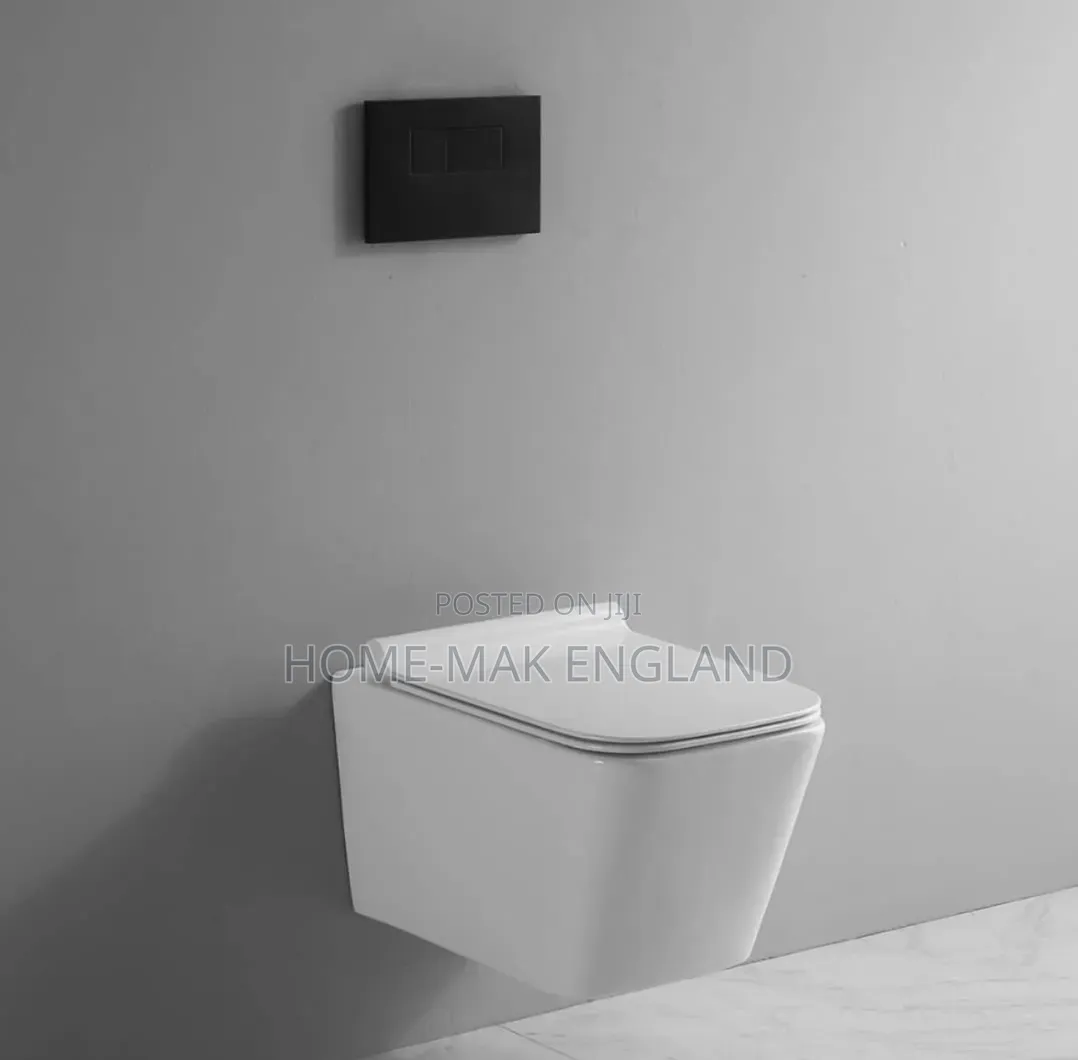 Wall Hung Wc