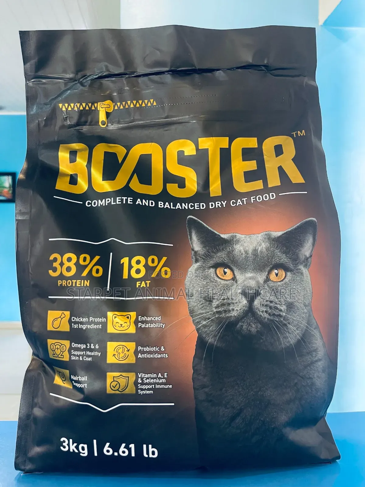 Cat Dry Food