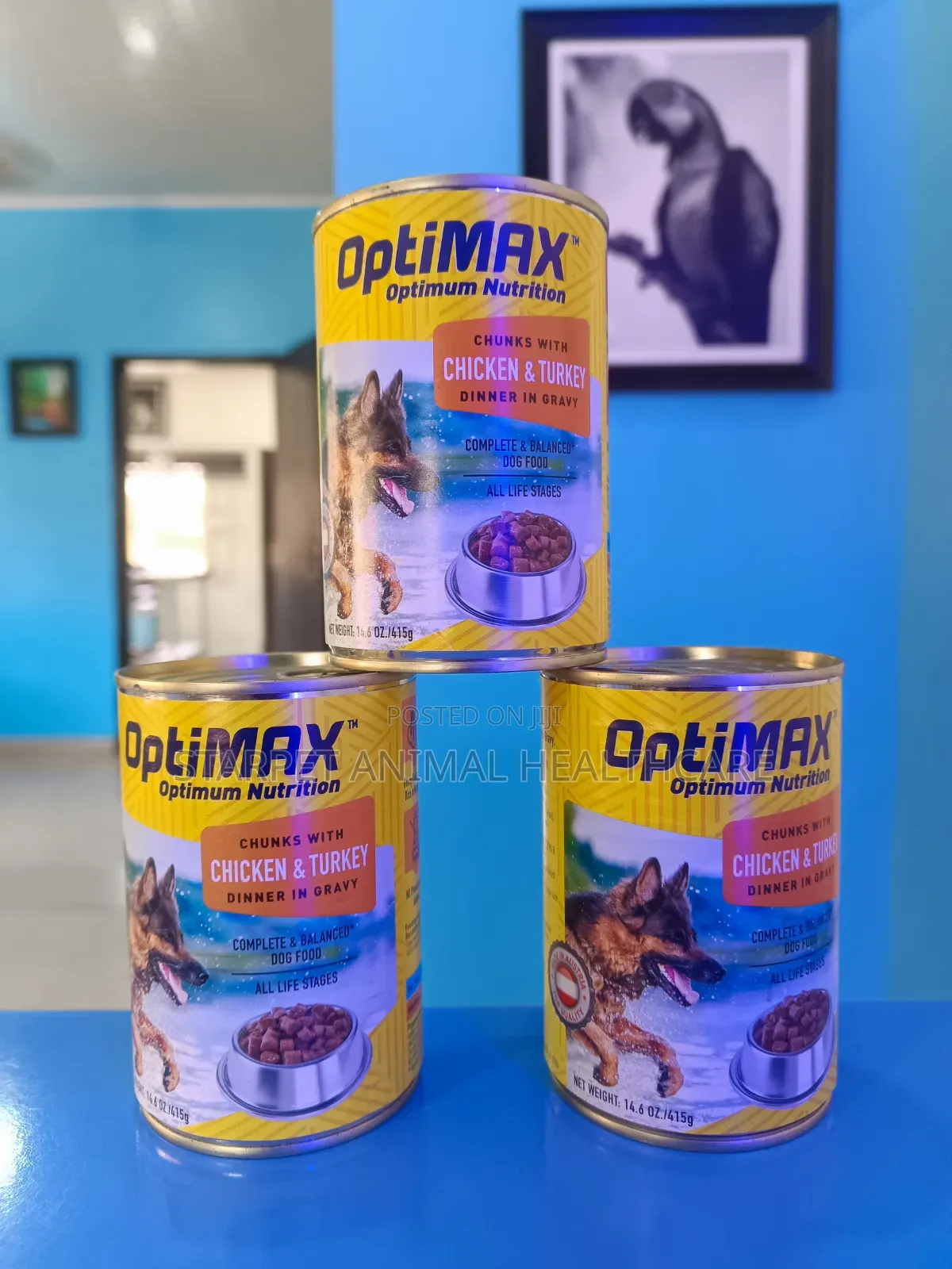 Canned Food for Dogs