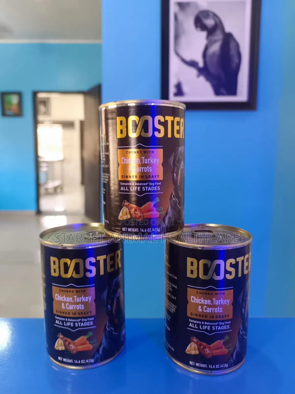 Canned Food for Dogs