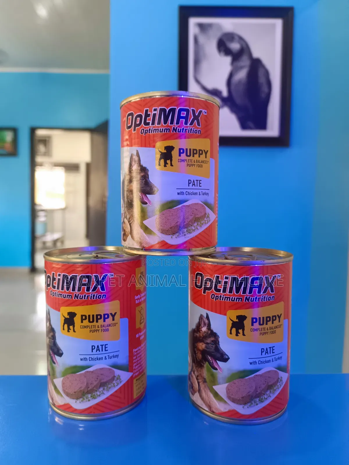 Canned Food for Dogs