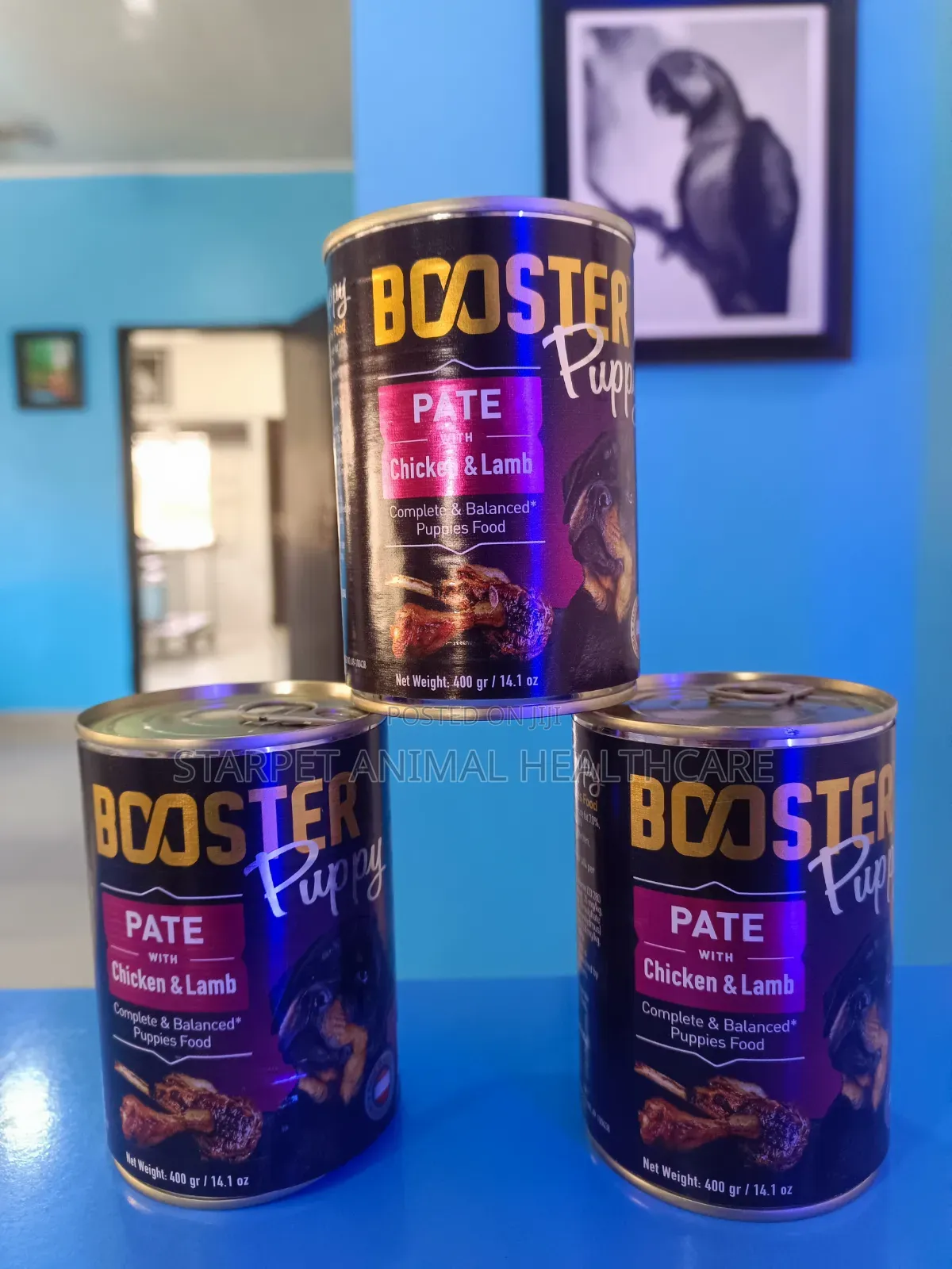 Canned Food for Dogs