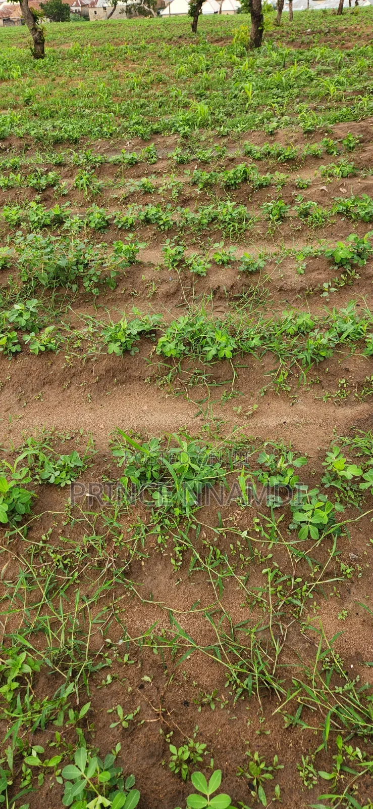 Prime Residential Land for Sale in Lifecamp
