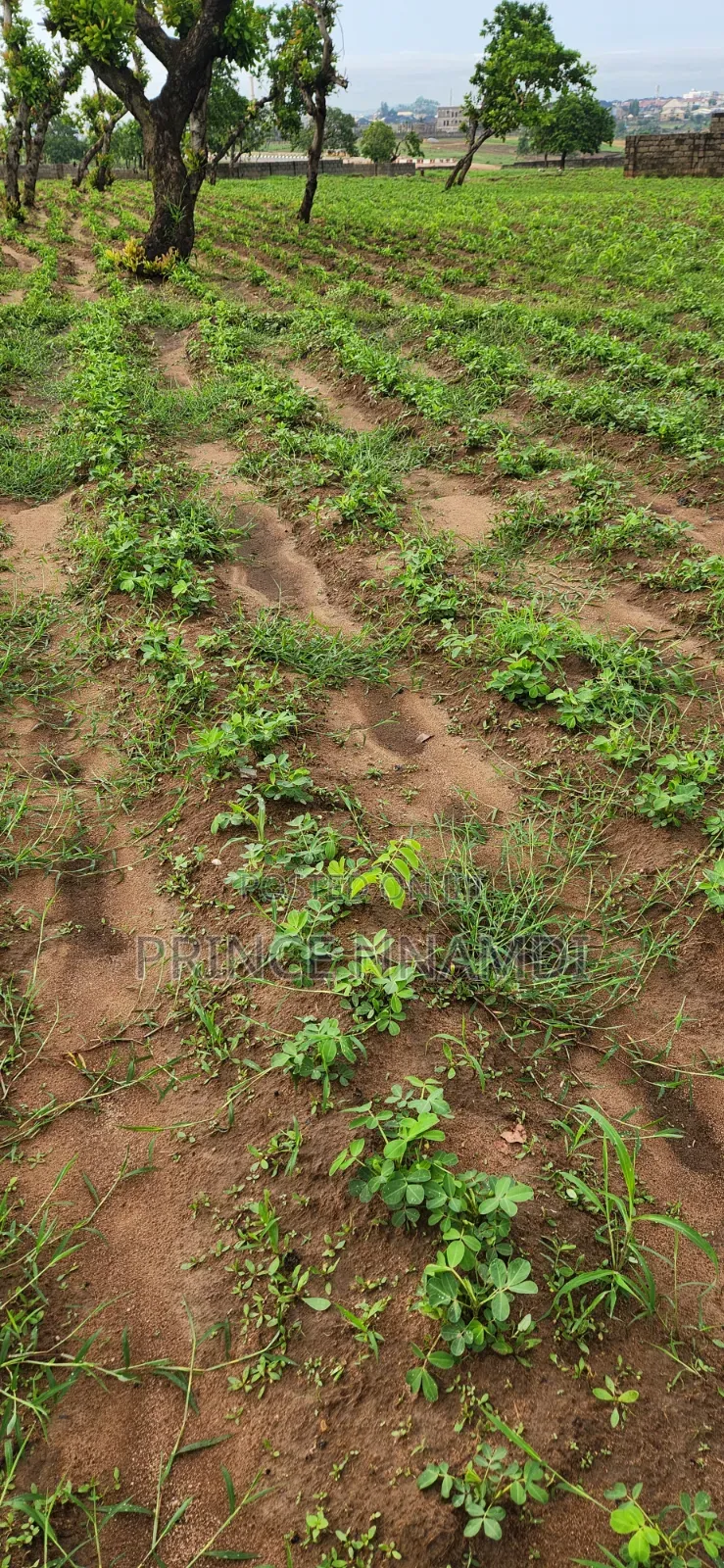 Prime Residential Land for Sale in Lifecamp