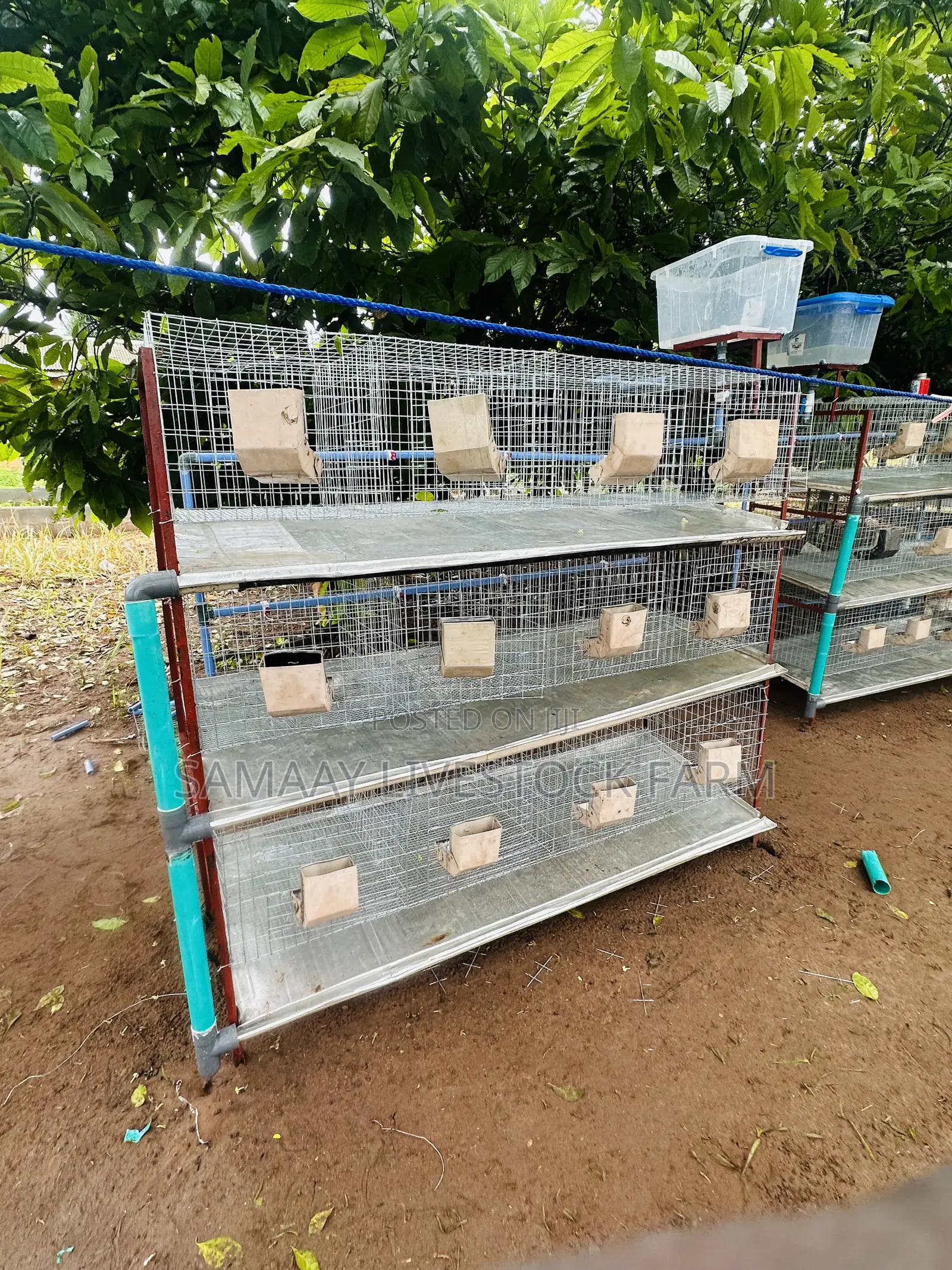 Rabbit Cage 12 Rooms