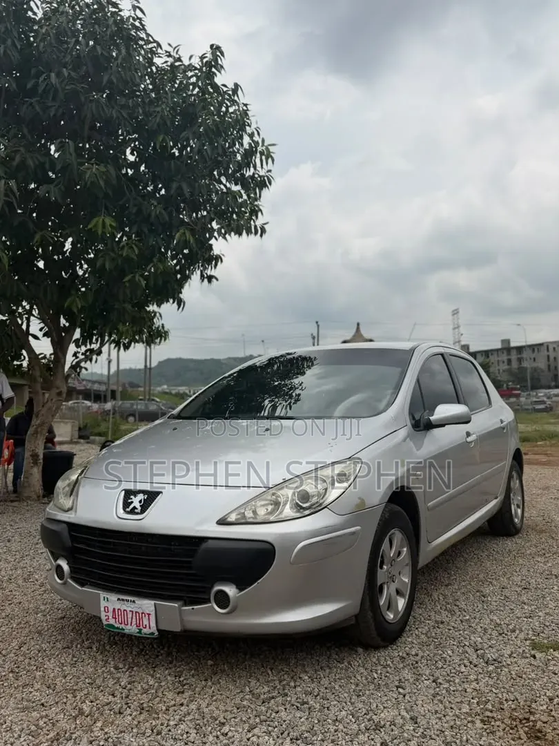 Peugeot 307 2.0 SW 2007 Silver