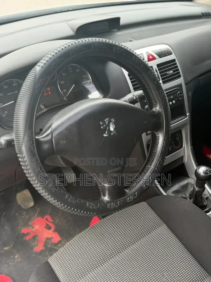 Peugeot 307 2.0 SW 2007 Silver