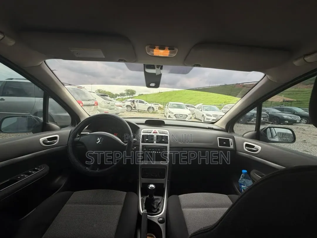 Peugeot 307 2.0 SW 2007 Silver