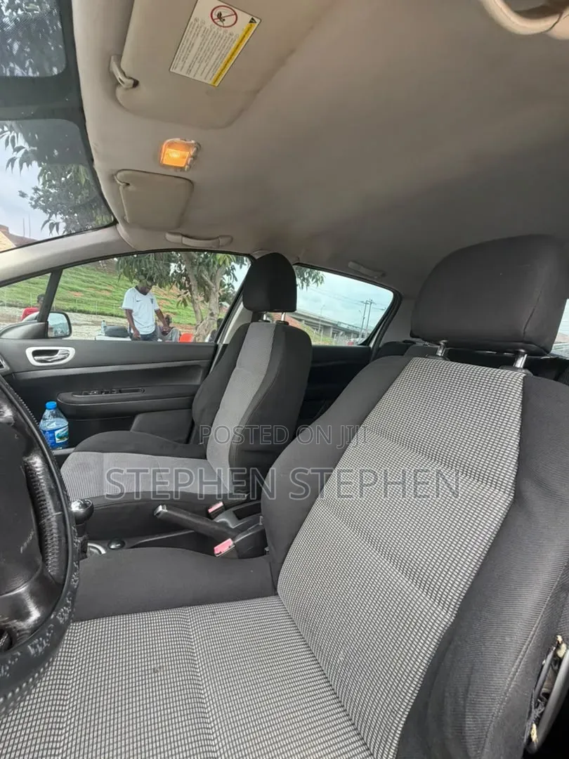 Peugeot 307 2.0 SW 2007 Silver