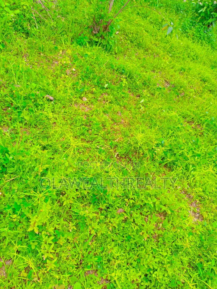 4000sqm Commercial Plot At Central Business District, Abuja