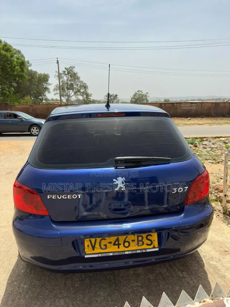 Peugeot 307 2005 Blue