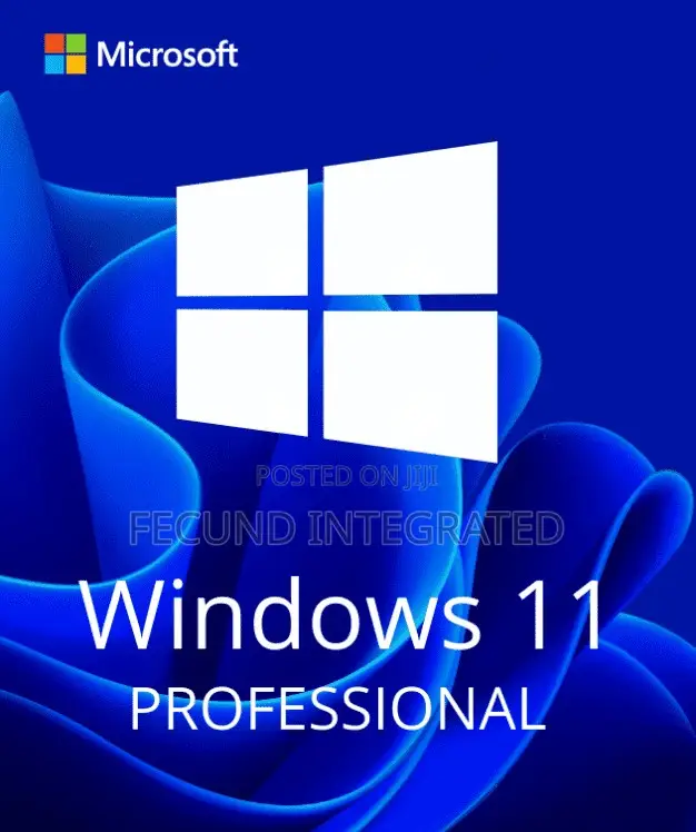 Windows 11 Professional Windows 11 Professional Activation