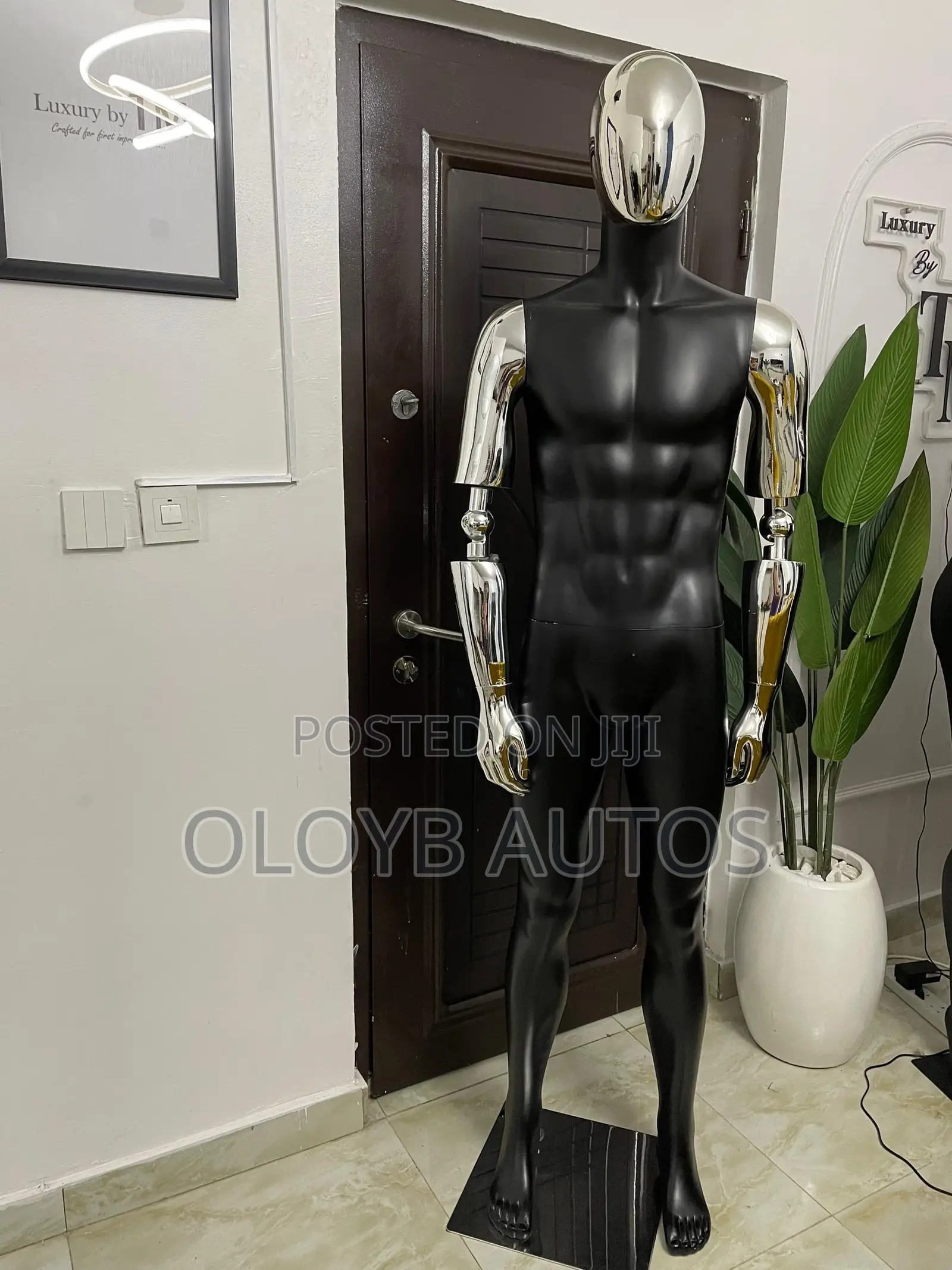 Male Mannequin