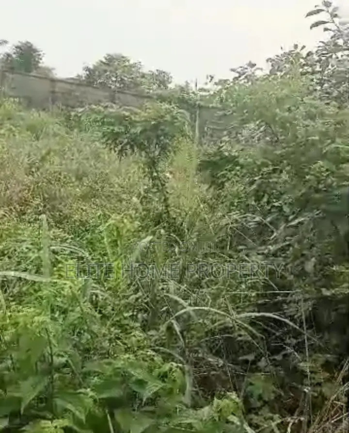 Land for Sale at Olambe Junction