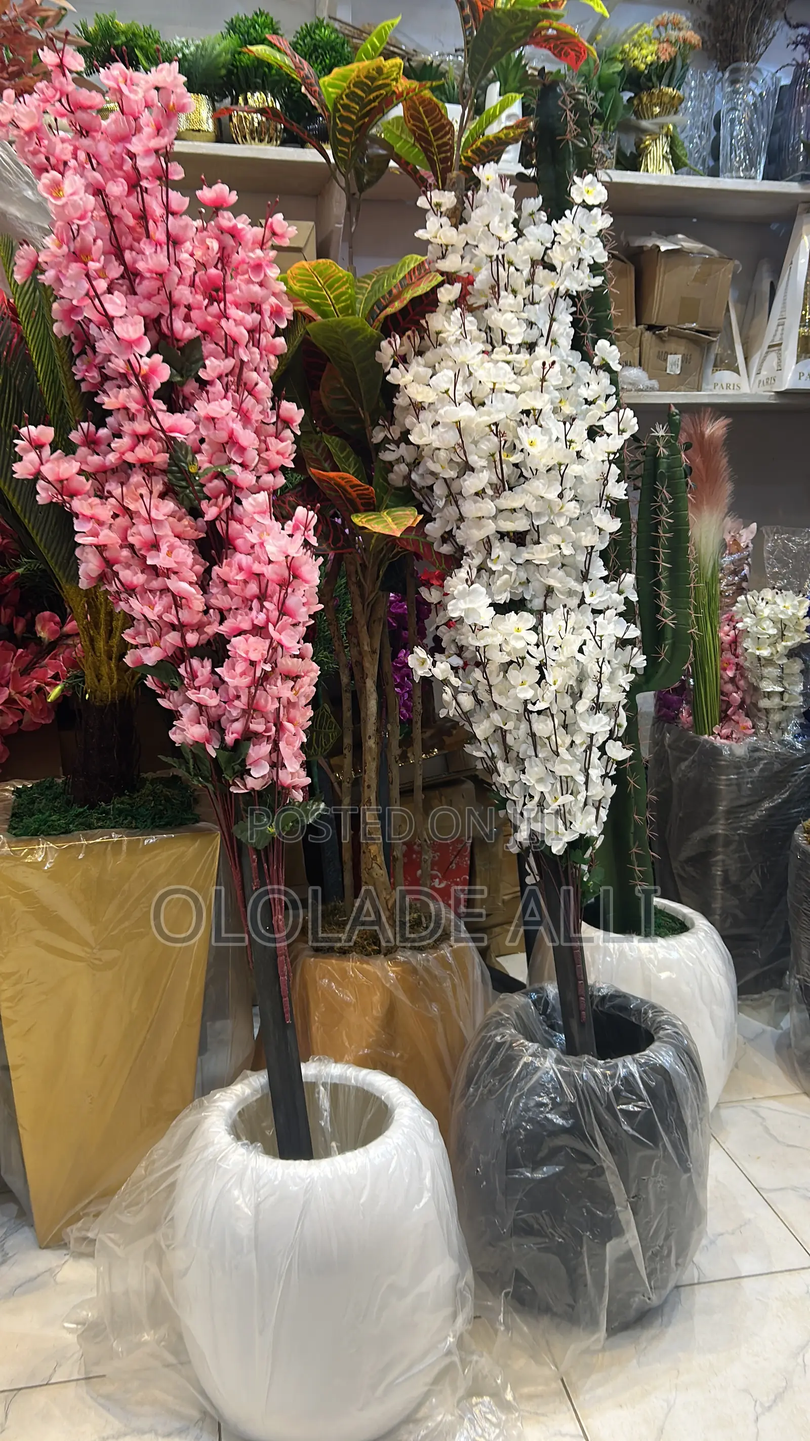 Fibre Vase and Double Trunk Cherry Blossom