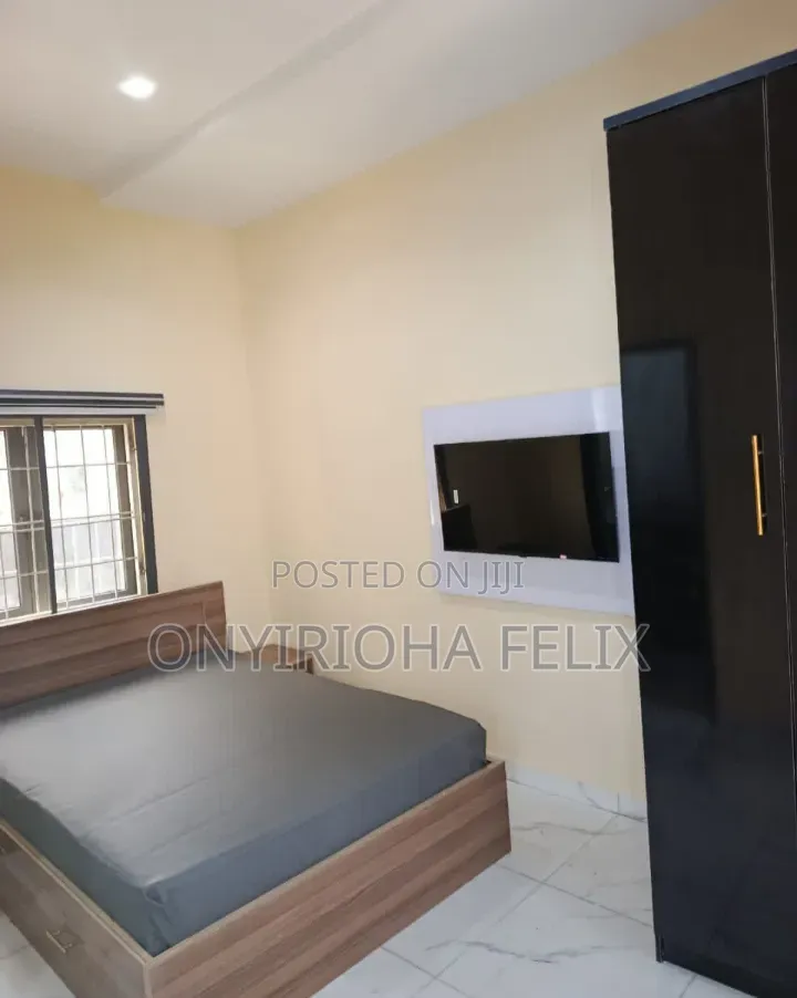Furnished Studio Apartment in Naf Valley, Asokoro for rent