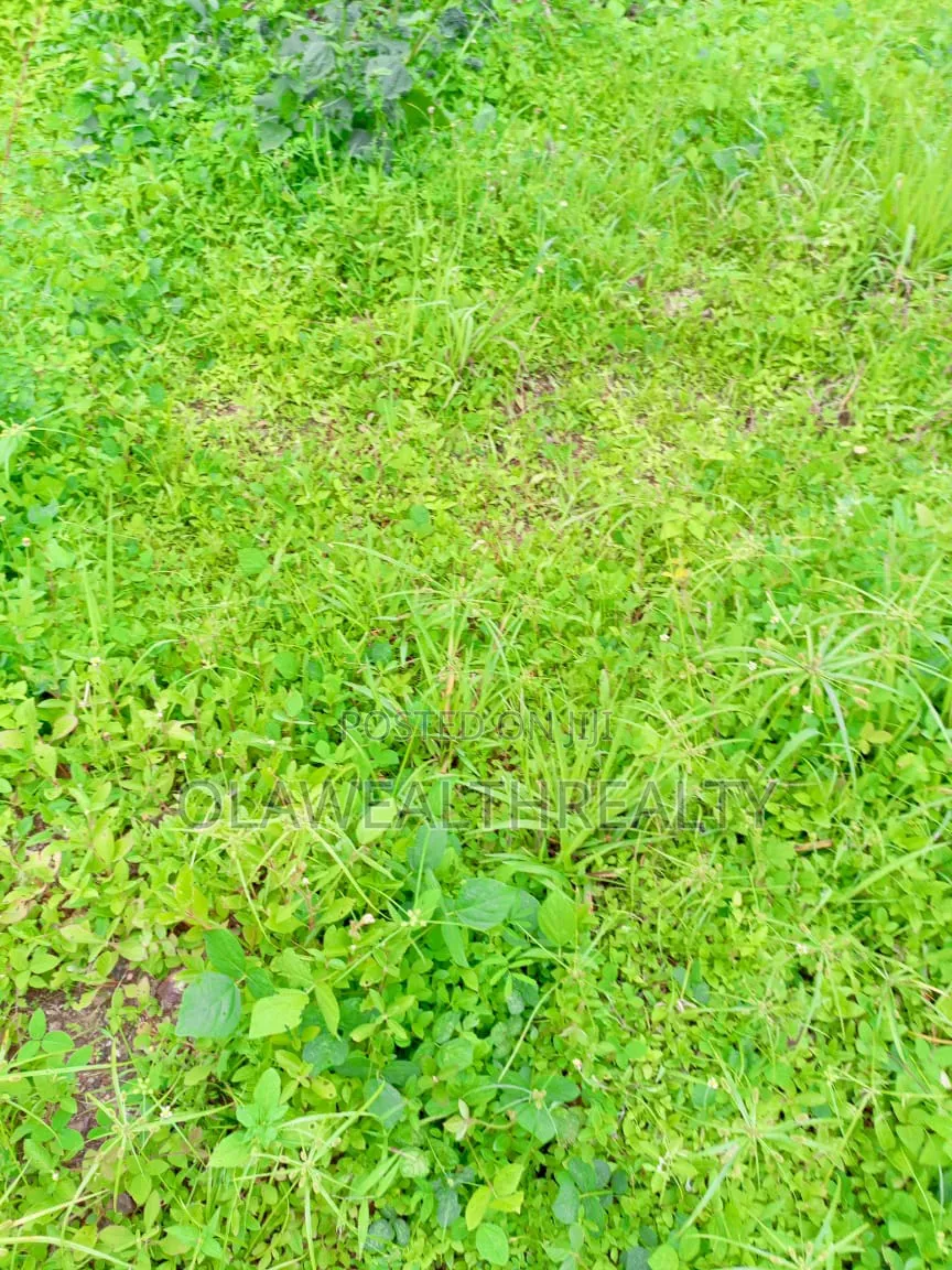 2.15 Hectares Comprehensive Development Land At Jahi