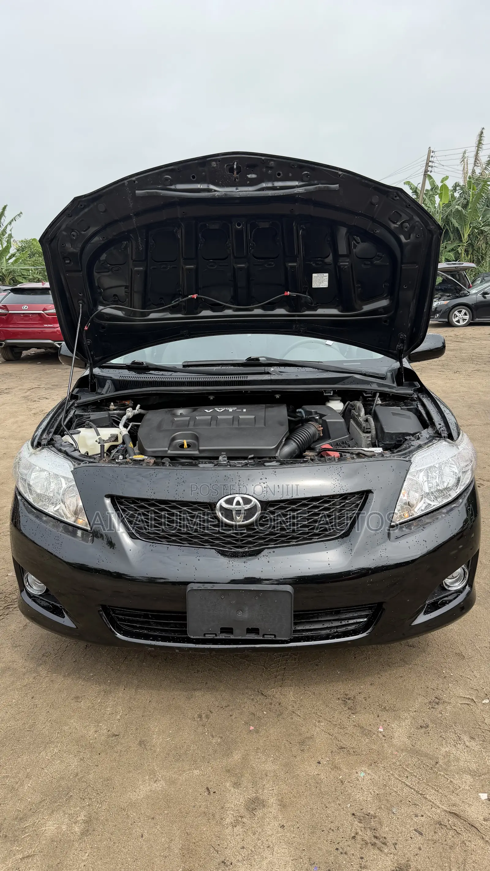 Toyota Corolla LE 4dr Sedan (1.8L 4 cyl 4A) 2009 Black