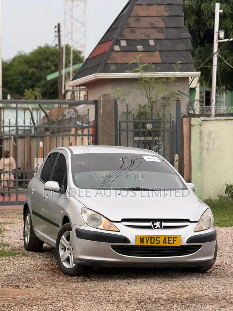 Peugeot 307 2007 Silver