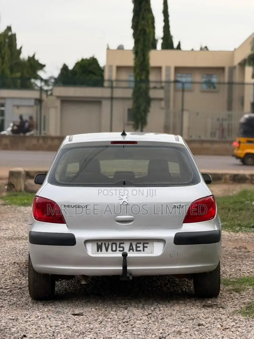 Peugeot 307 2007 Silver