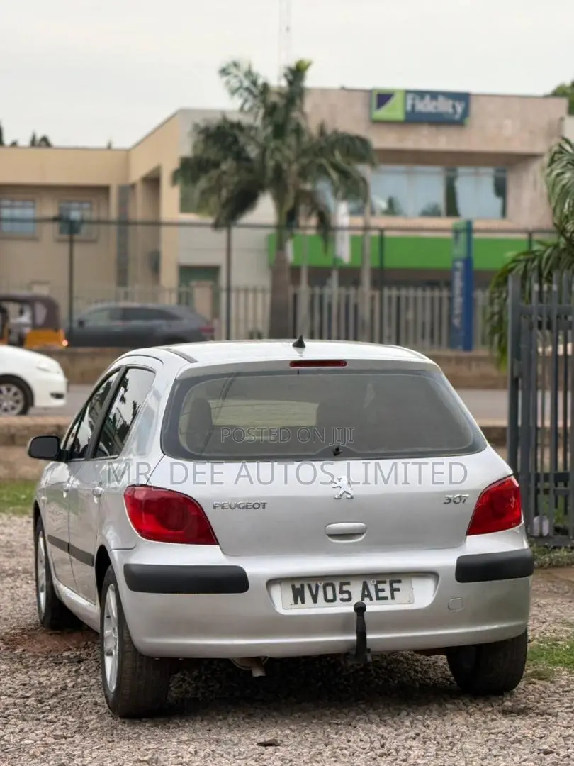 Peugeot 307 2007 Silver