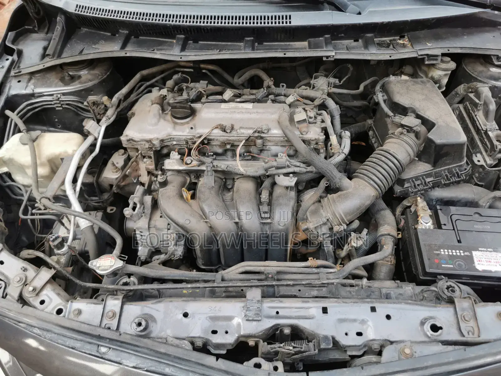 Toyota Corolla LE 4dr Sedan (1.8L 4cyl 4A) 2010 Gray