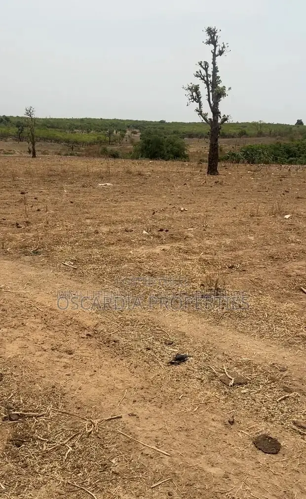 65 Hectares of Residential Land Available in Idu
