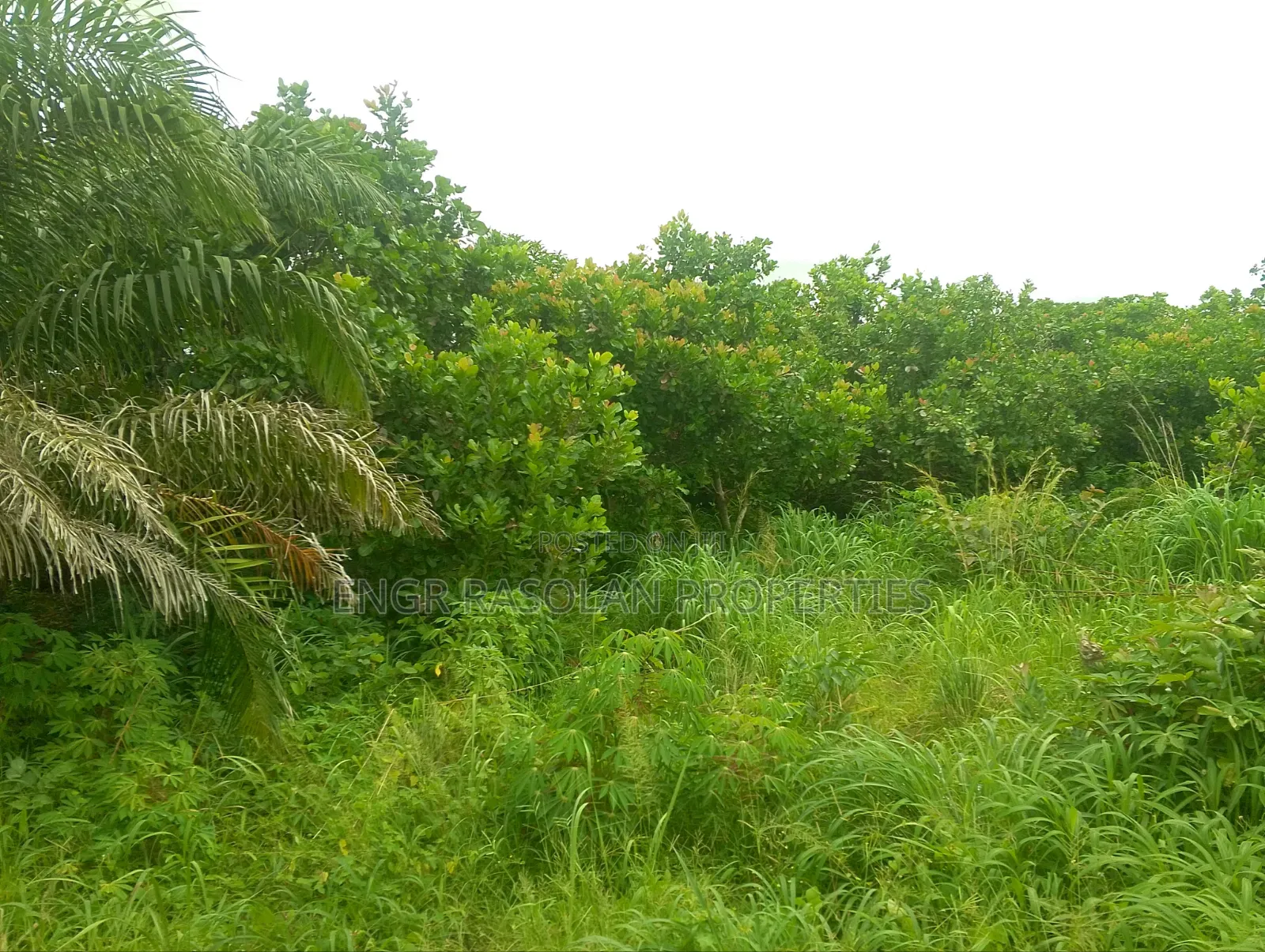 For Sale 7 Plots of Land
