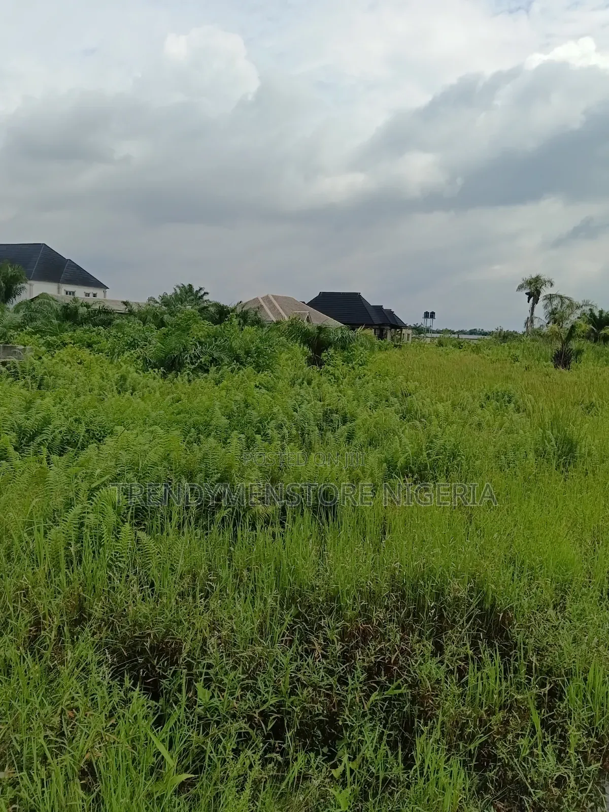 Distress Sale: 6 Plots at Ijagemo, Alaba International Link Express