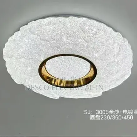 Ceiling Light