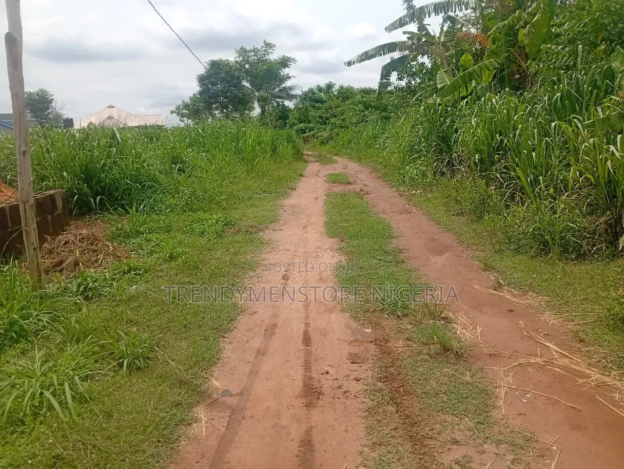Forsale: 10 Acres Farmland at Imodi Ijasi, Off Ikorodu-Ijebu Ode, Ogun