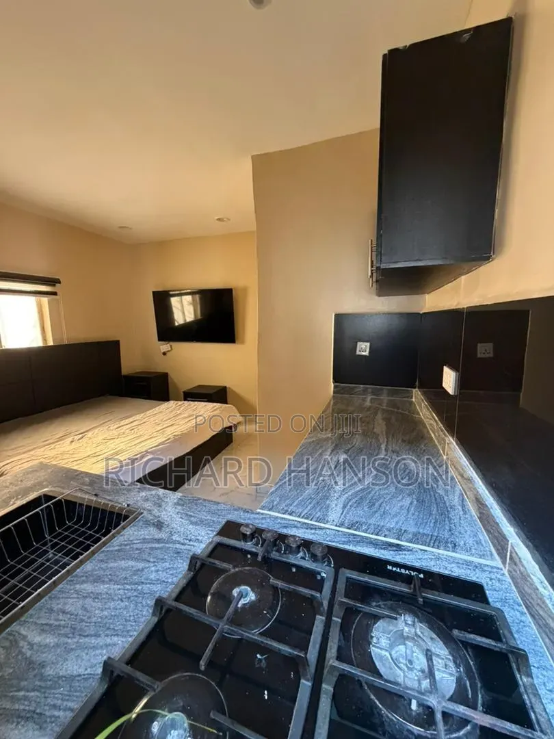 Furnished Studio Apartment for rent