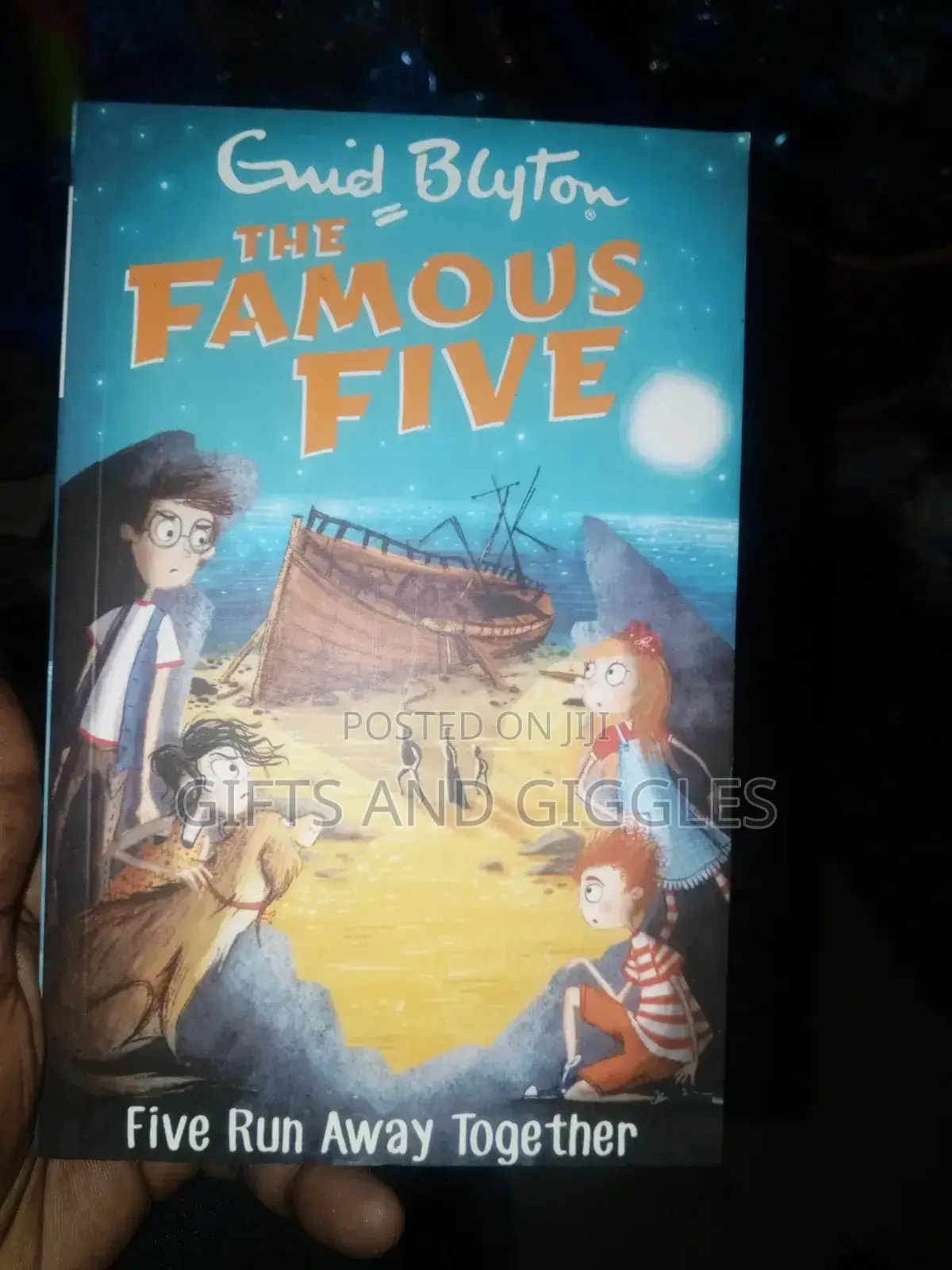 Famous Five Series (Novels)