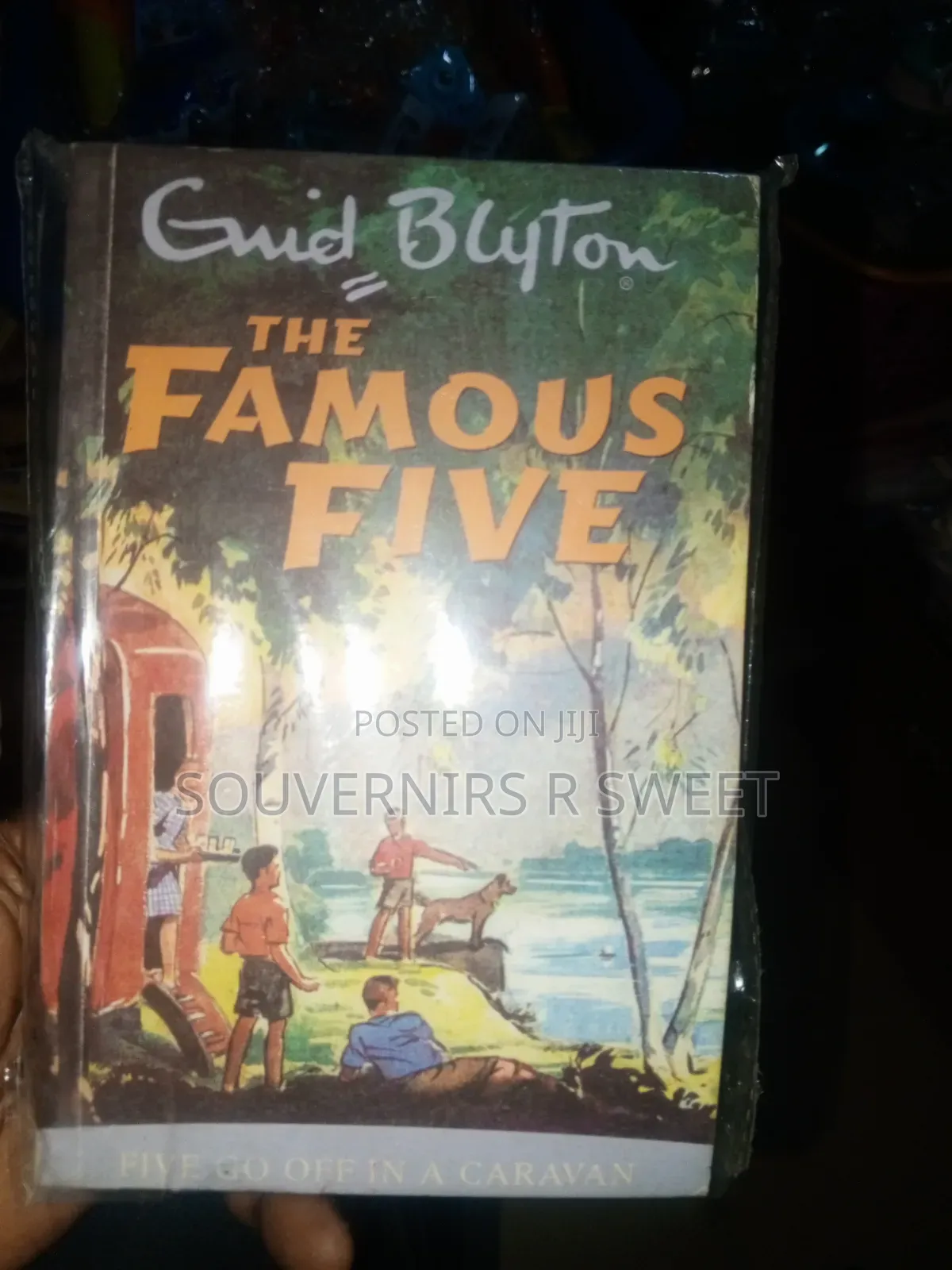 Famous Five Series (Novels)