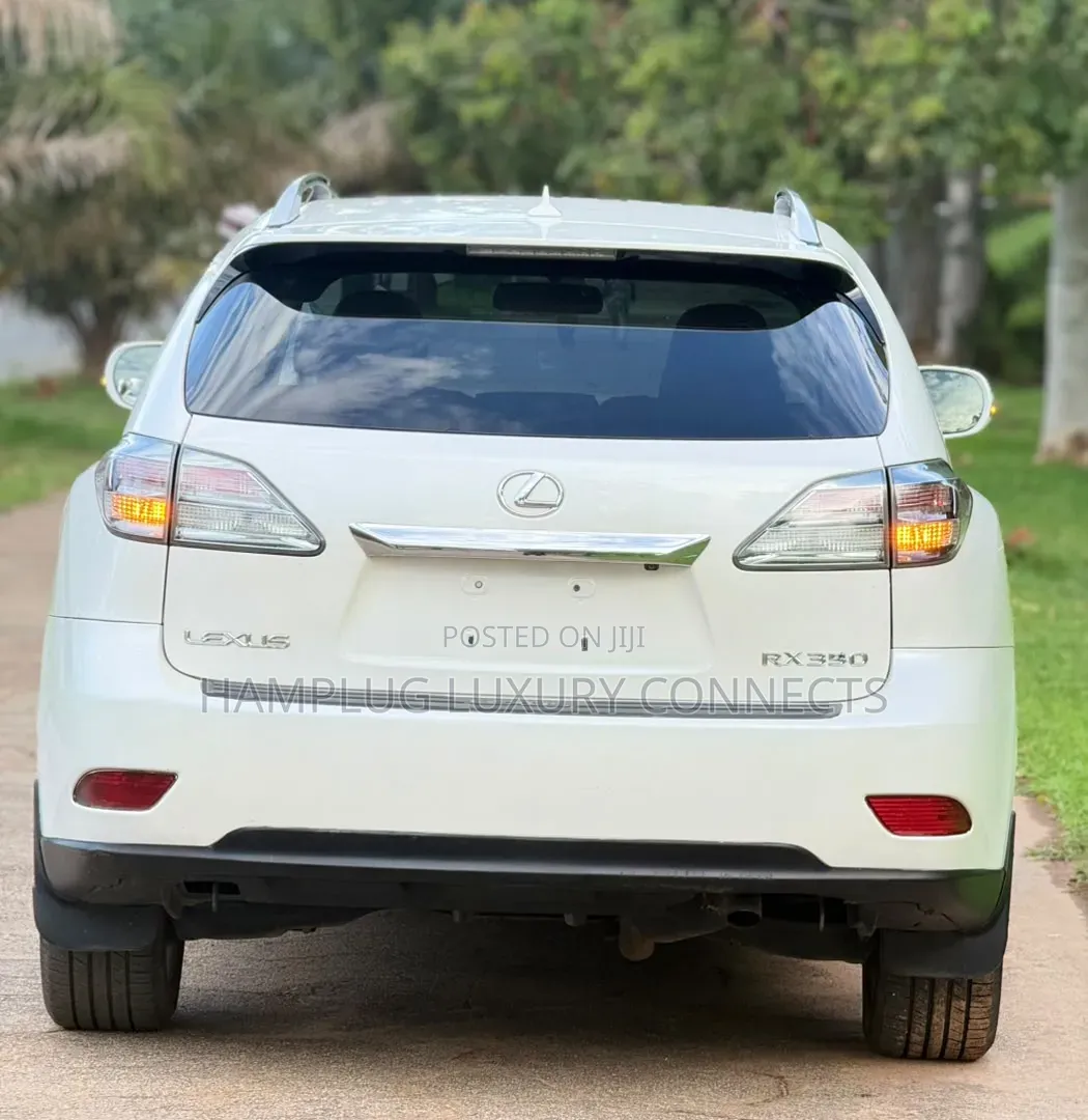 Lexus RX 2010 White