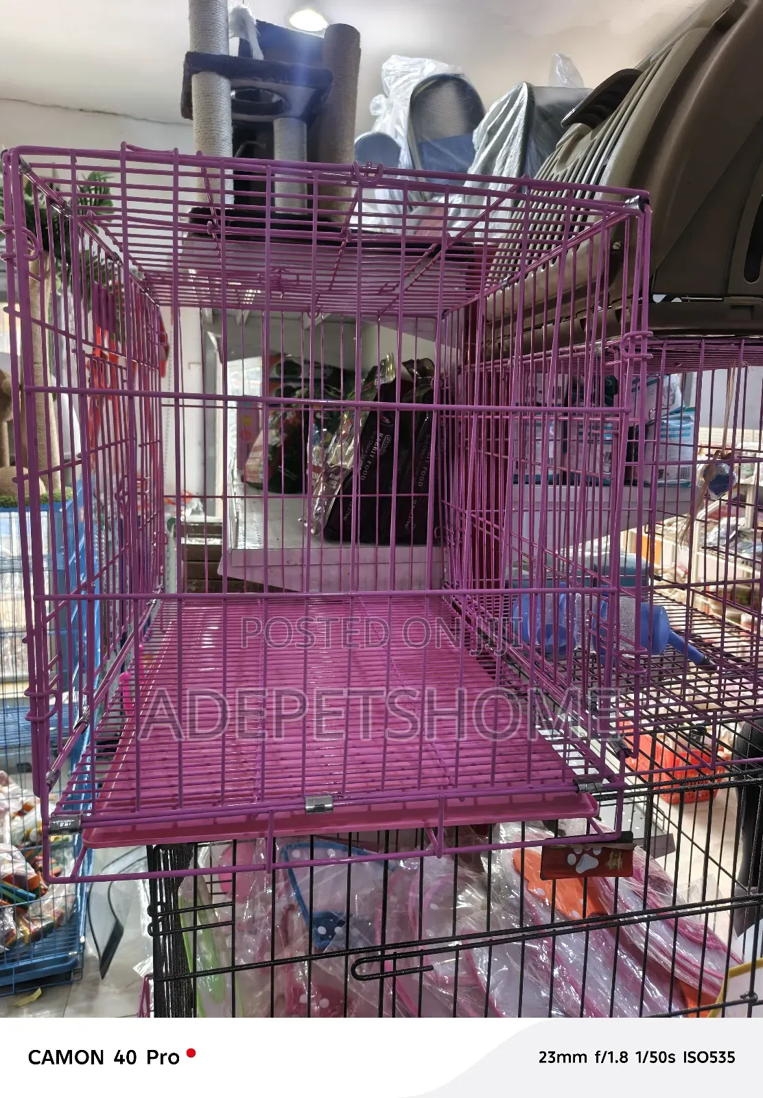 Dog Cages Are Available