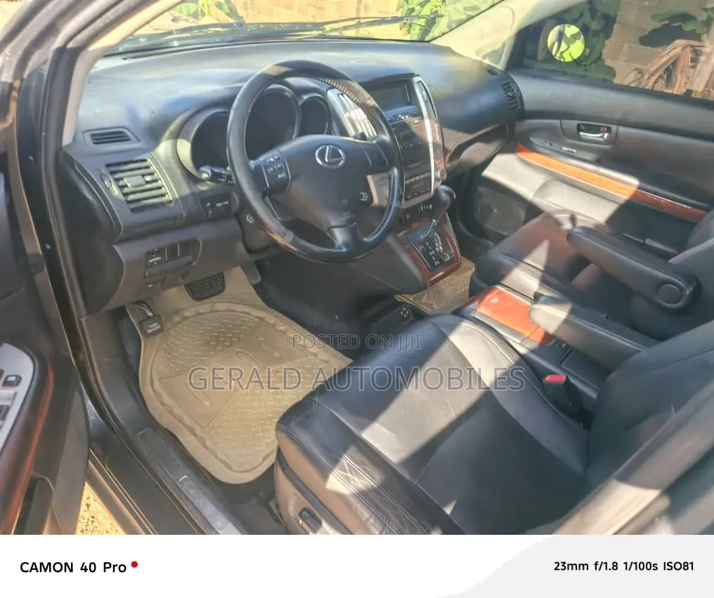 Lexus RX 350 2008 Gray