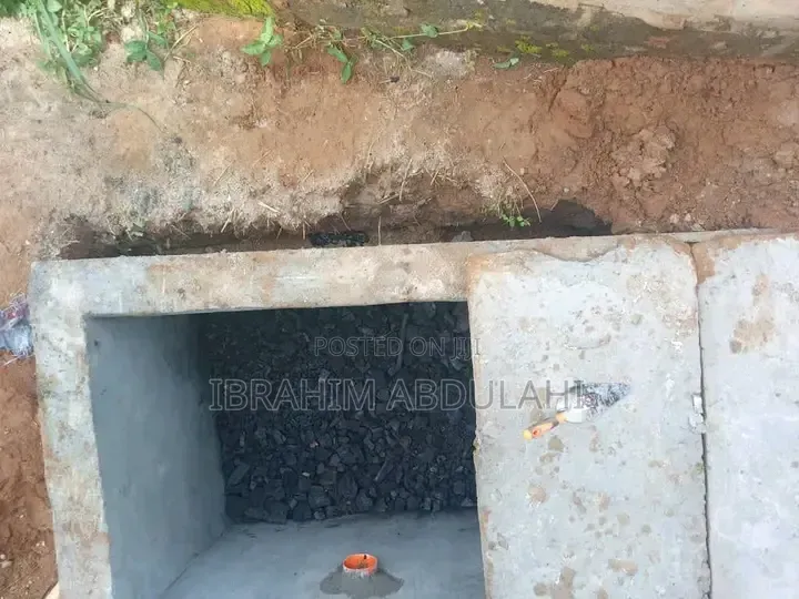 Biodigester Ecosystem
