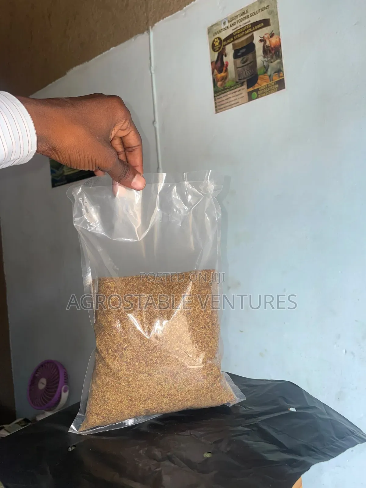 Alfalfa Seed 1 Kilogram