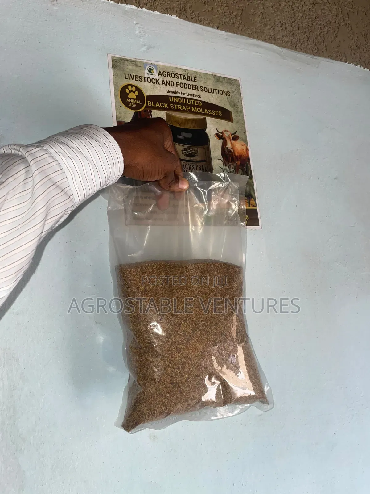 Alfalfa Seed 1 Kilogram