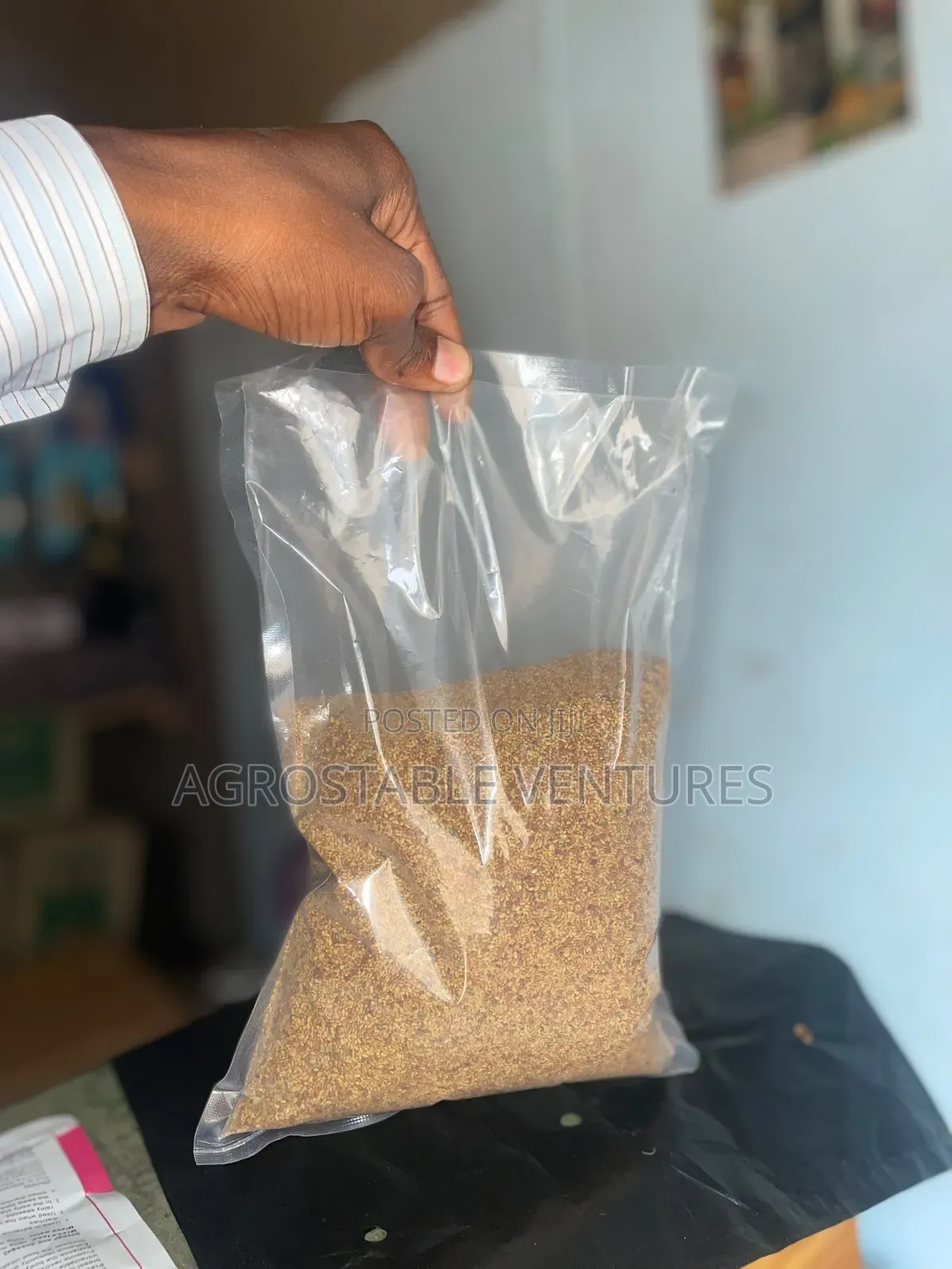 Alfalfa Seed 1 Kilogram