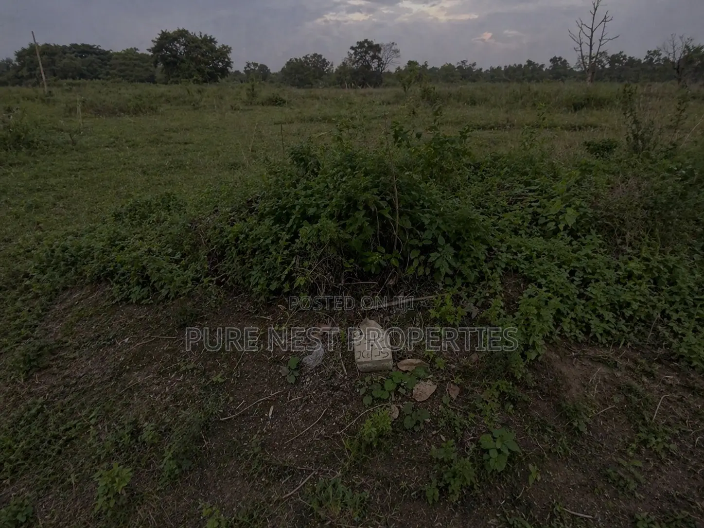 Buy 8 Plots Get Half Plot Free, in Port Harcourt.
