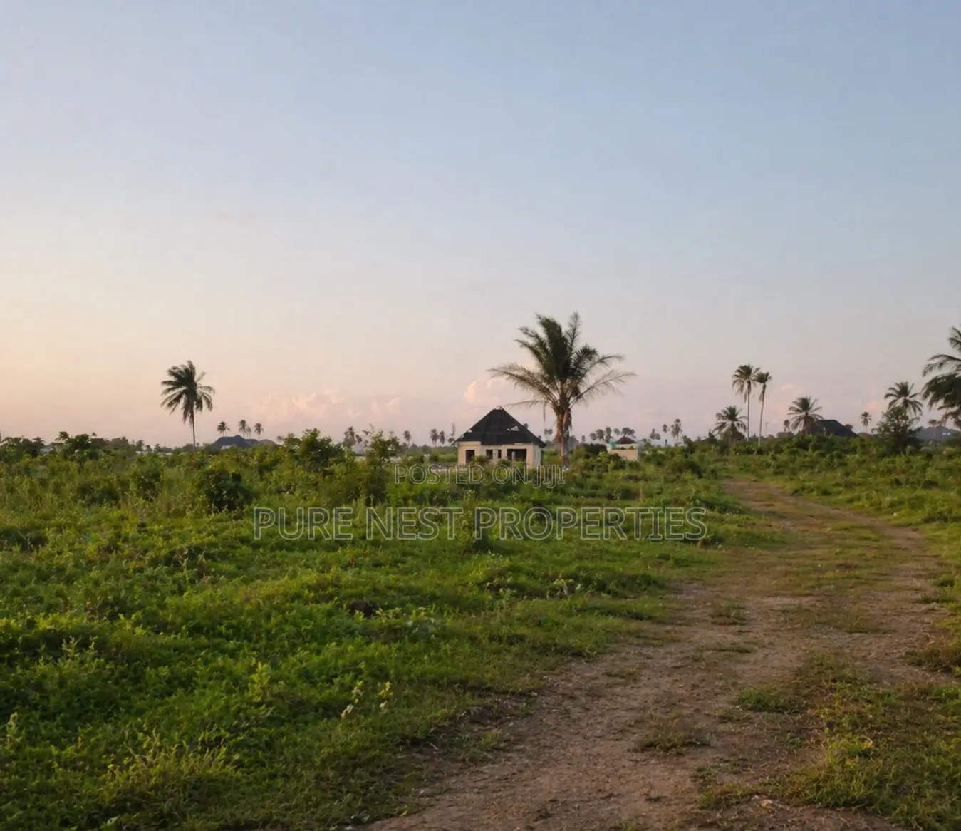 Buy 8 Plots Get Half Plot Free, in Port Harcourt.