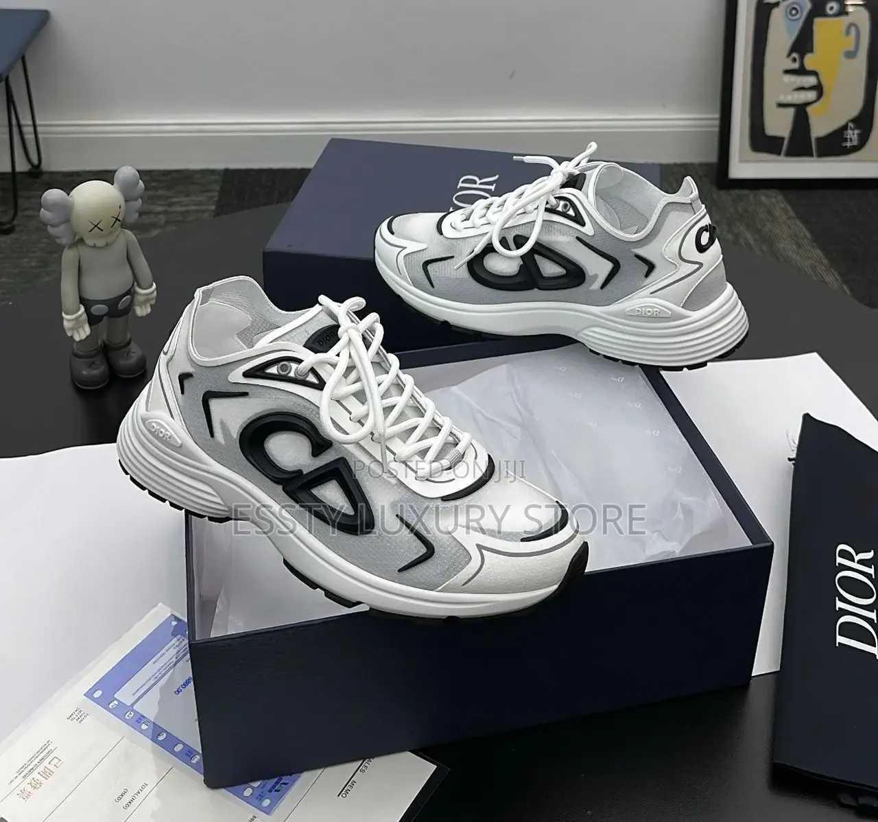 High Quality Luxury Dior B30 County Down Tech Sneakers